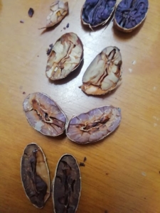 cutting_test